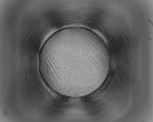 X0000091721006200709210957