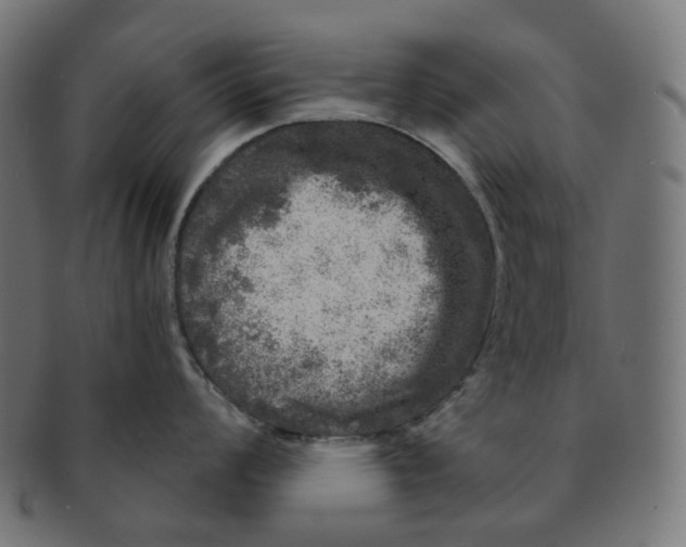 X0000091721008200709210957