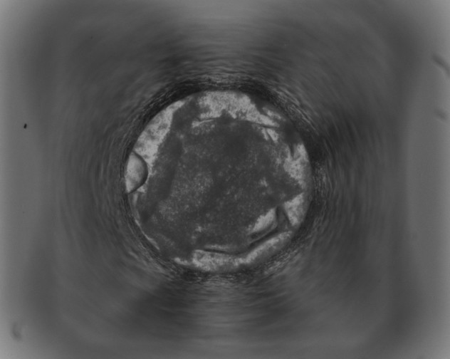 X0000091721009200709210956