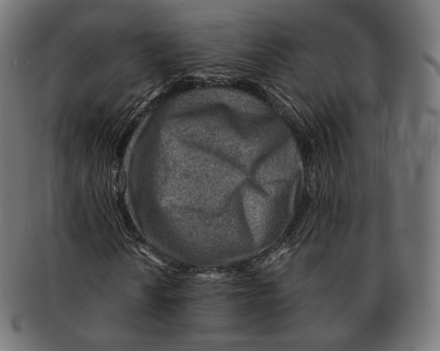 X0000091721010200709210956