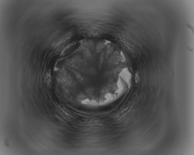 X0000091721011200709210956