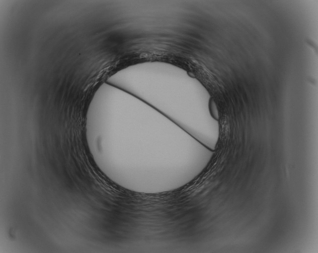 X0000091721012200709210956