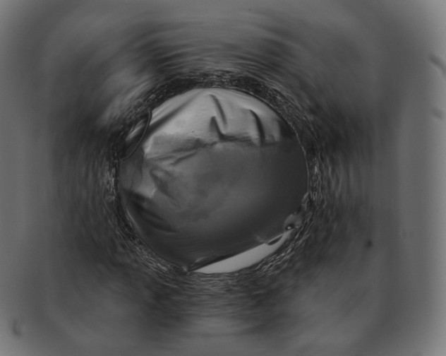 X0000091721013200709210956