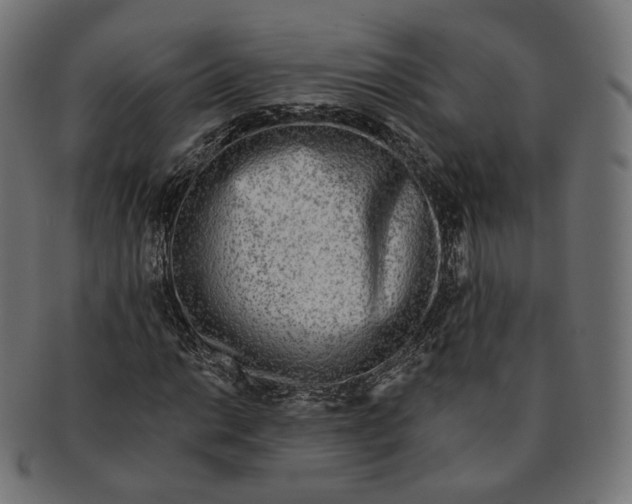 X0000091721014200709210956