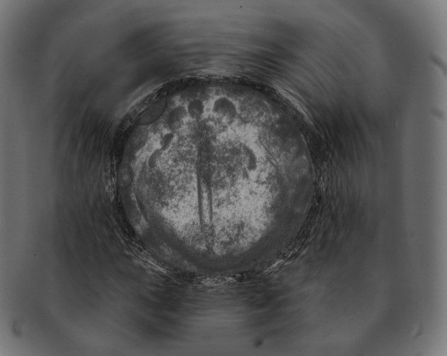 X0000091721015200709210956