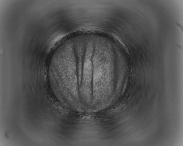 X0000091721016200709210956