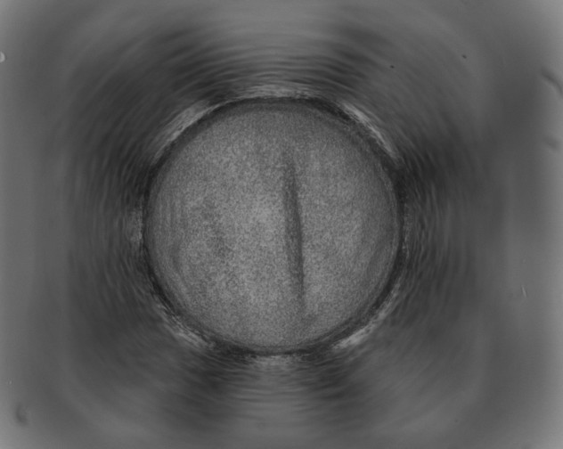 X0000091721017200709210956