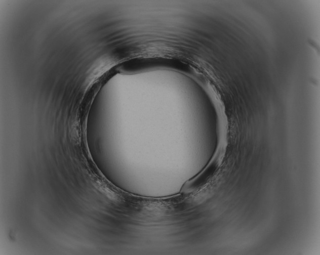 X0000091721018200709210956