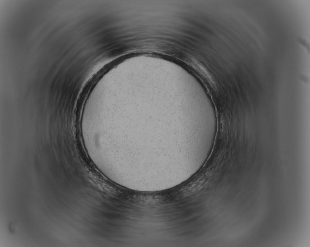 X0000091721020200709210957