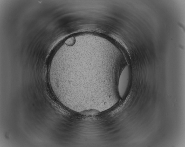 X0000091721021200709210957