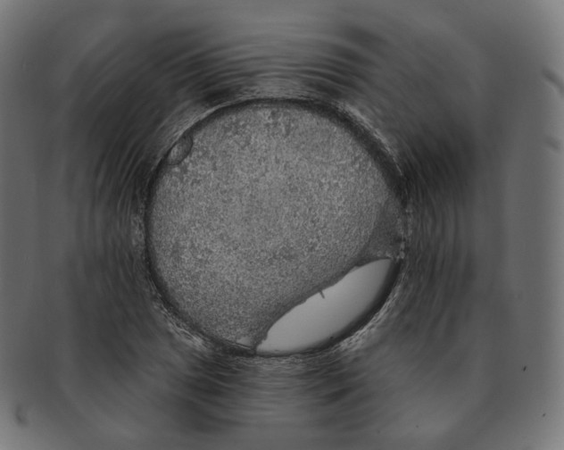 X0000091721025200709210957