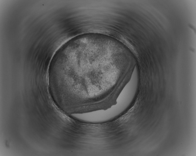 X0000091721028200709210957