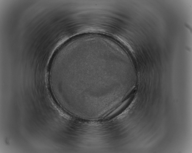 X0000091721029200709210957