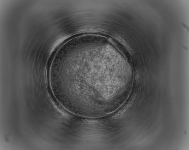 X0000091721030200709210957