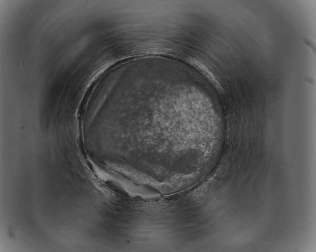 X0000091721031200709210957