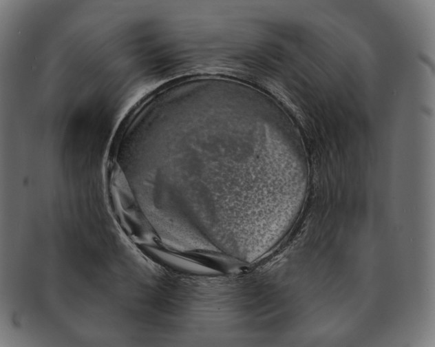 X0000091721032200709210957