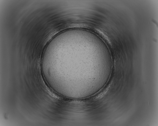 X0000091721033200709210957