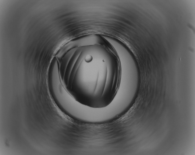 X0000091721034200709210957