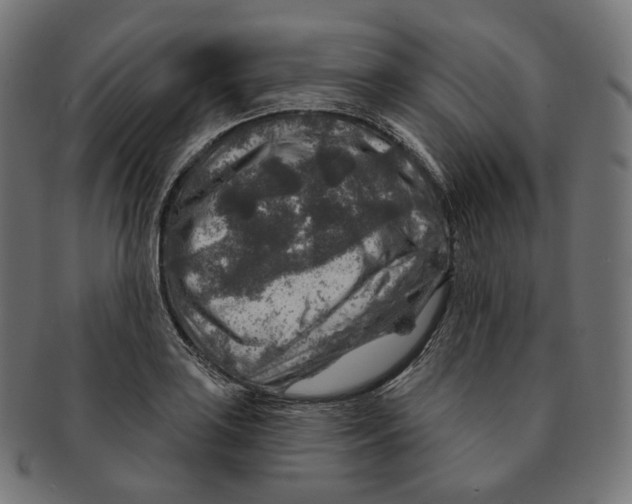 X0000091721035200709210957