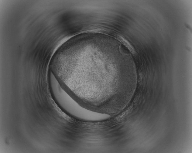 X0000091721036200709210957