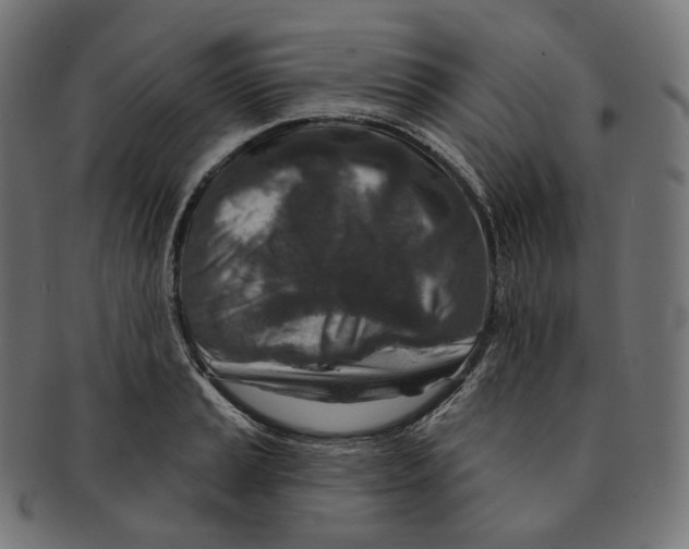 X0000091721037200709210957