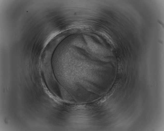 X0000091721038200709210957