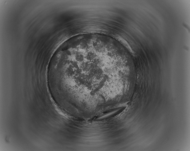 X0000091721039200709210957