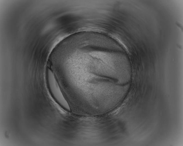 X0000091721040200709210957