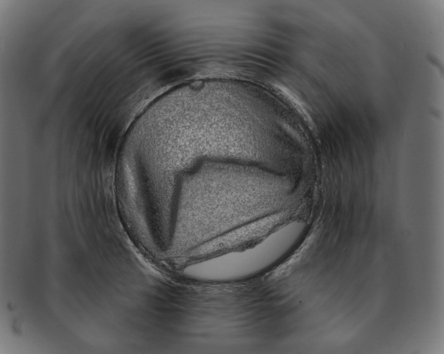 X0000091721041200709210957