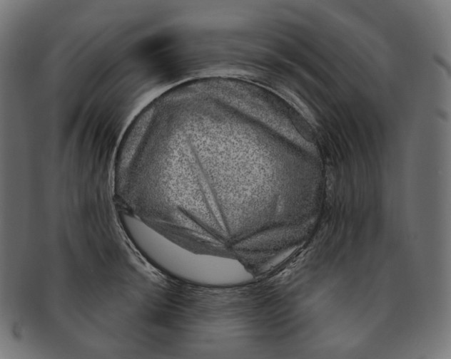 X0000091721044200709210957