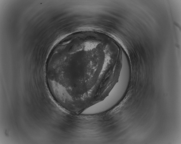 X0000091721045200709210957