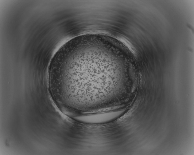 X0000091721046200709210957