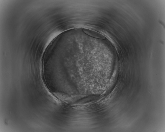 X0000091721048200709210957