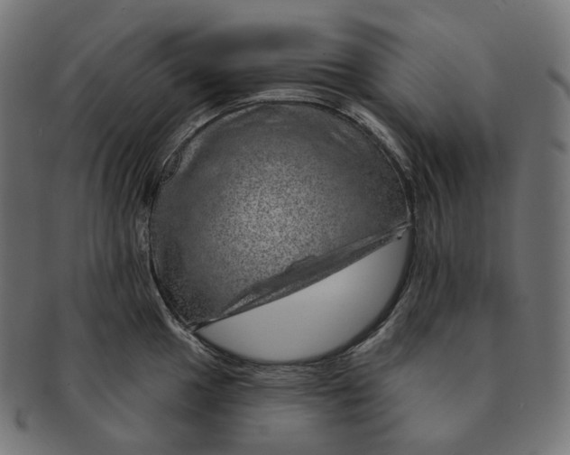 X0000091721049200709210957