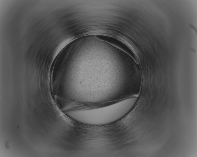 X0000091721050200709210957