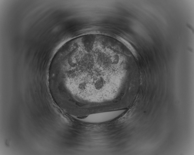 X0000091721051200709210957