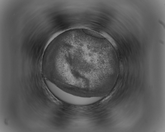 X0000091721052200709210957