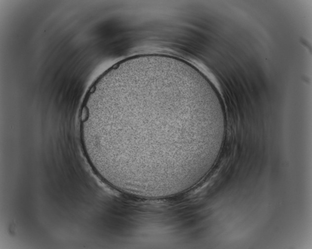 X0000091721053200709210957