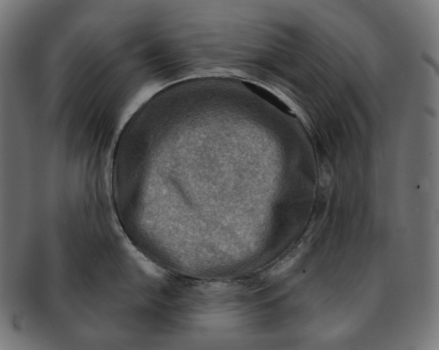 X0000091721054200709210957