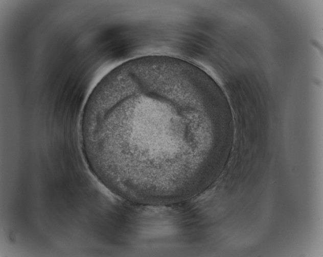 X0000091721056200709210957