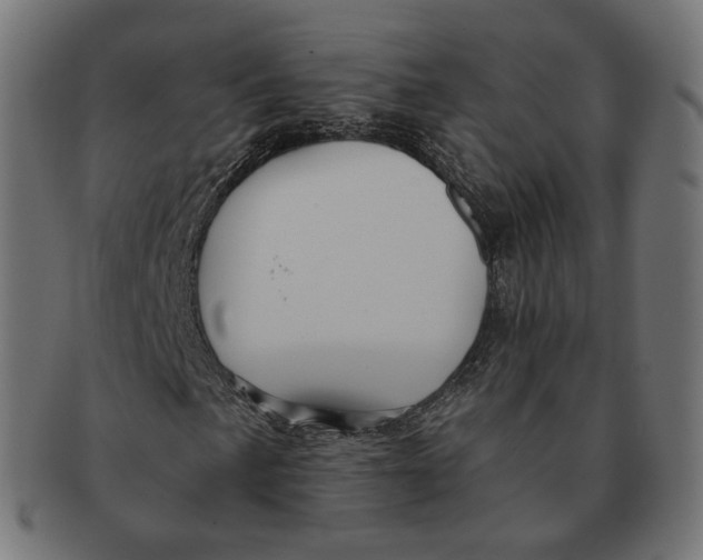 X0000091721057200709210956