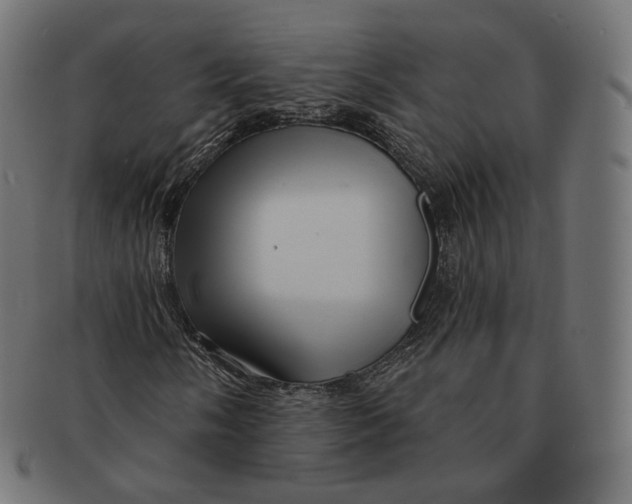 X0000091721058200709210956