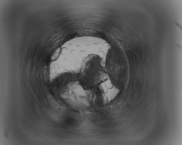 X0000091721059200709210956