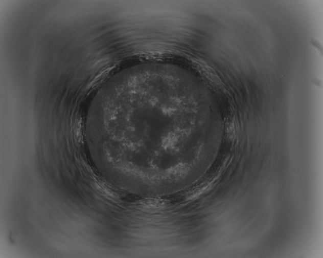 X0000091721060200709210956