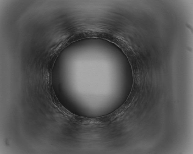 X0000091721061200709210956