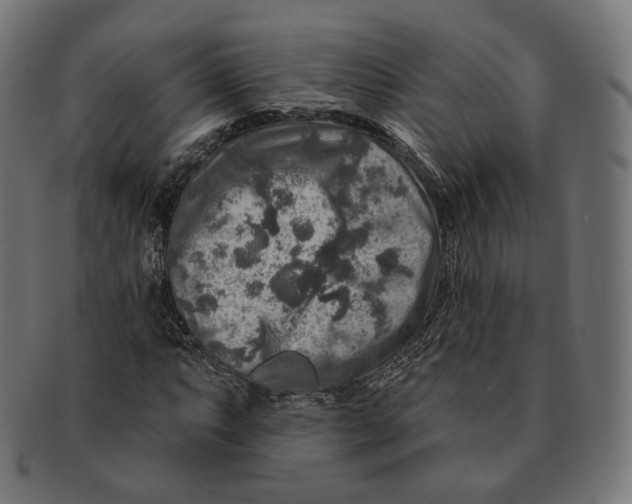 X0000091721063200709210956