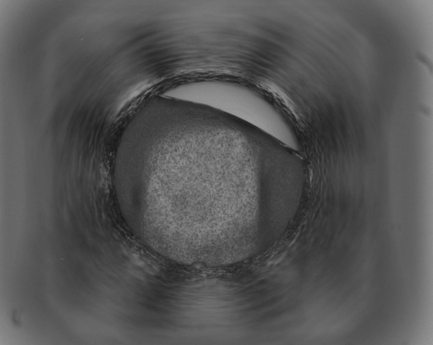 X0000091721064200709210956