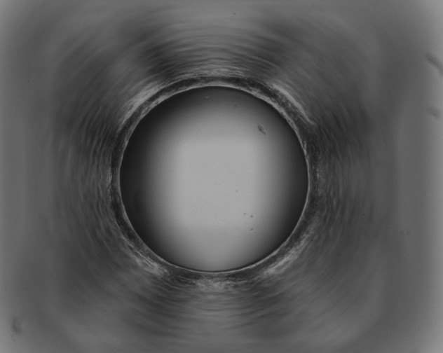 X0000091721065200709210956