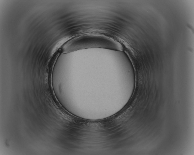 X0000091721066200709210956