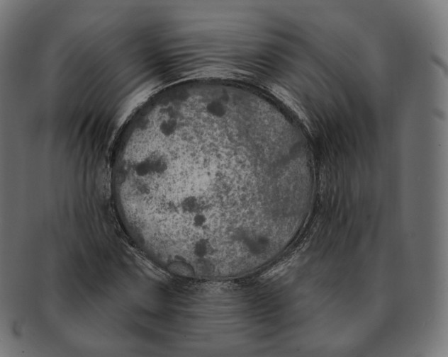 X0000091721067200709210956